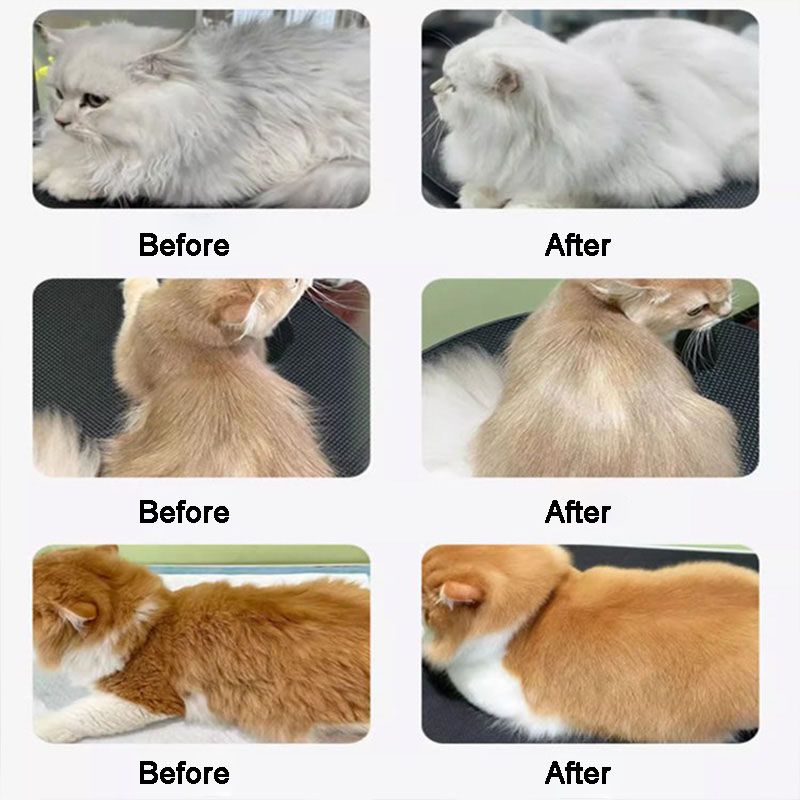 Pet Shiny and Smooth Hair Care Conditioner