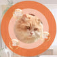 Pet Shiny and Smooth Hair Care Conditioner