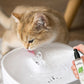 Catnip Liquid Spray - Safe, Pure, and Potent