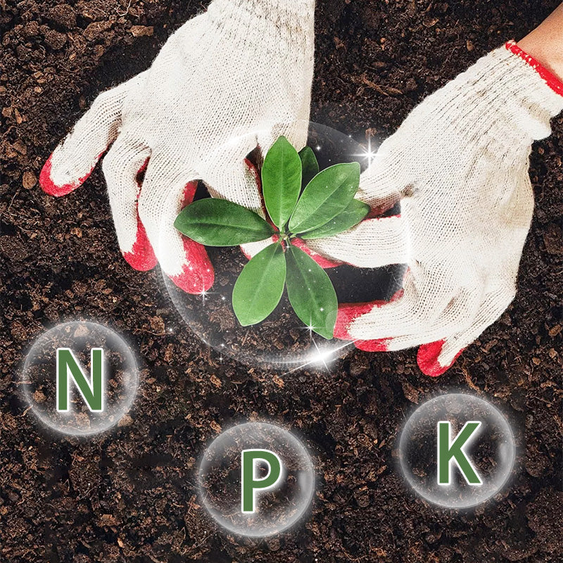 Organics Granular All Purpose Fertilizer