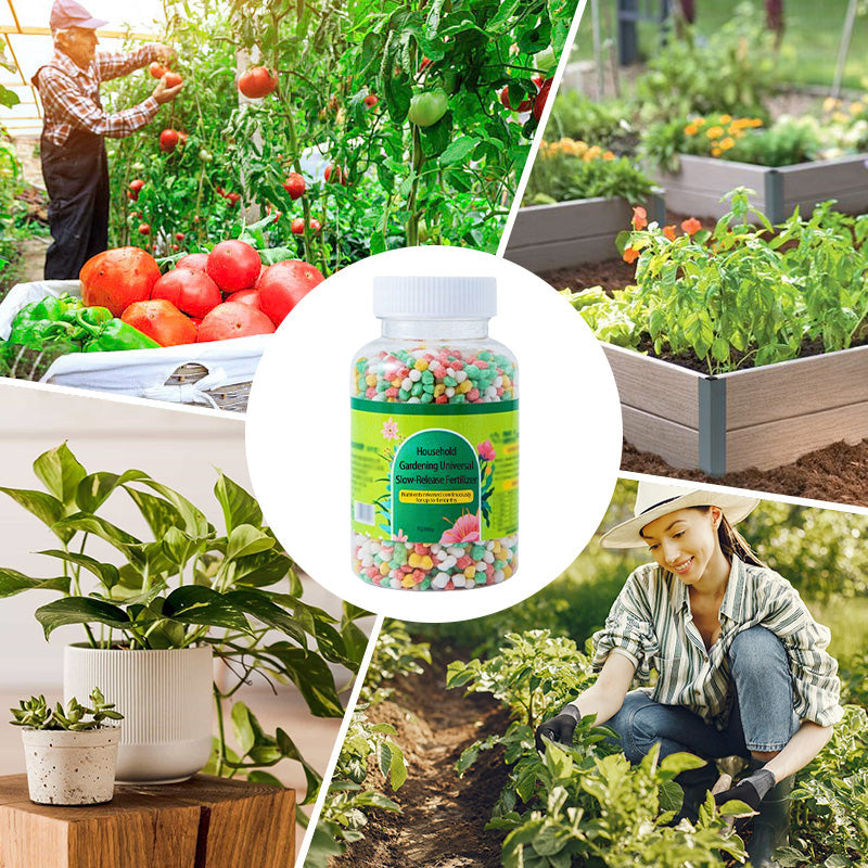 Organics Granular All Purpose Fertilizer