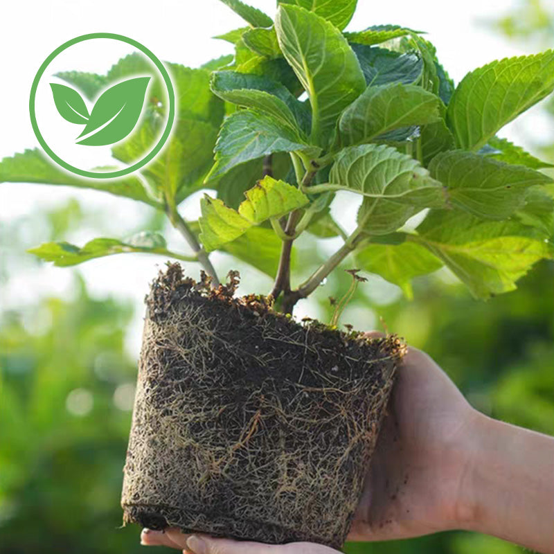 Organics Granular All Purpose Fertilizer
